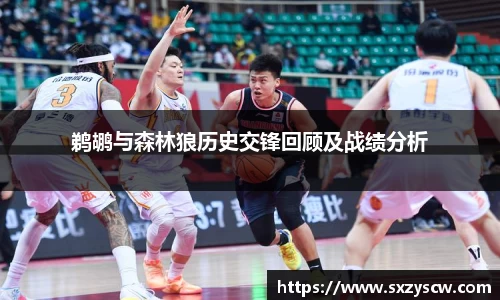鹈鹕与森林狼历史交锋回顾及战绩分析